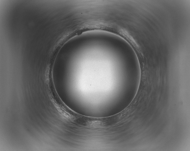 X0000073830058200608101214