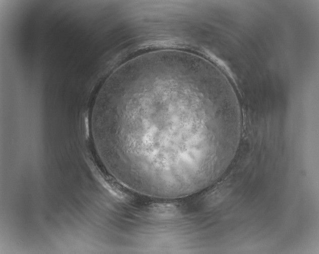 X0000073830061200608101214