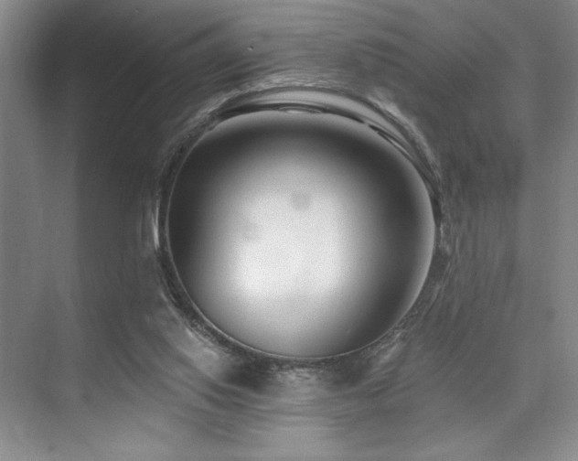 X0000073830062200608101214