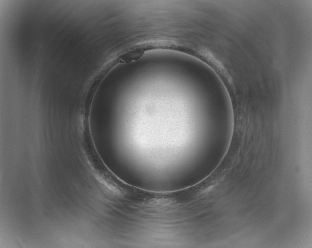 X0000073830063200608101214