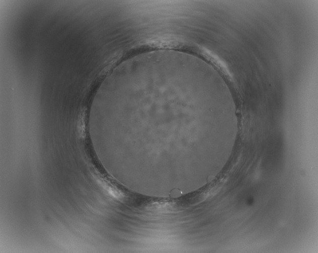 X0000073830065200608101214