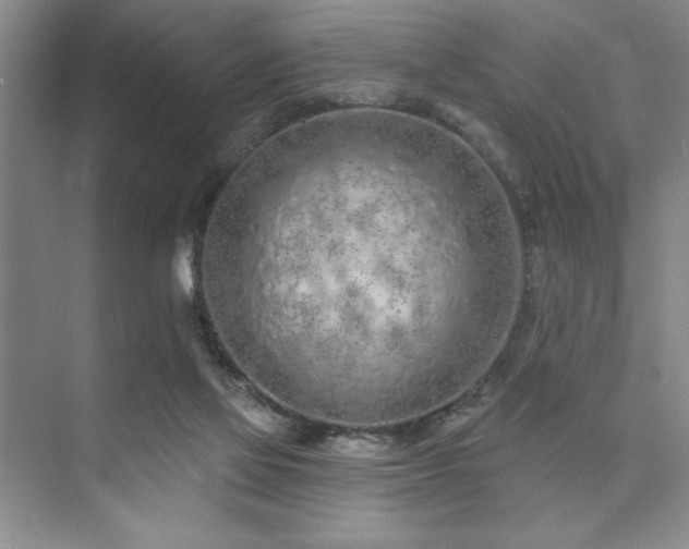 X0000073830069200608101214