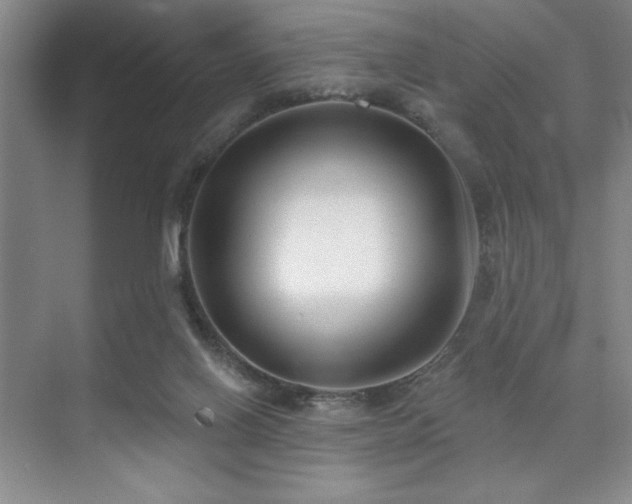 X0000073830070200608101214