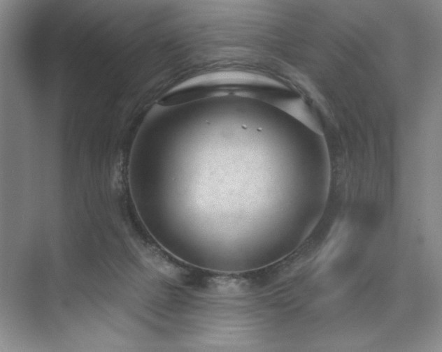 X0000073830073200608101214