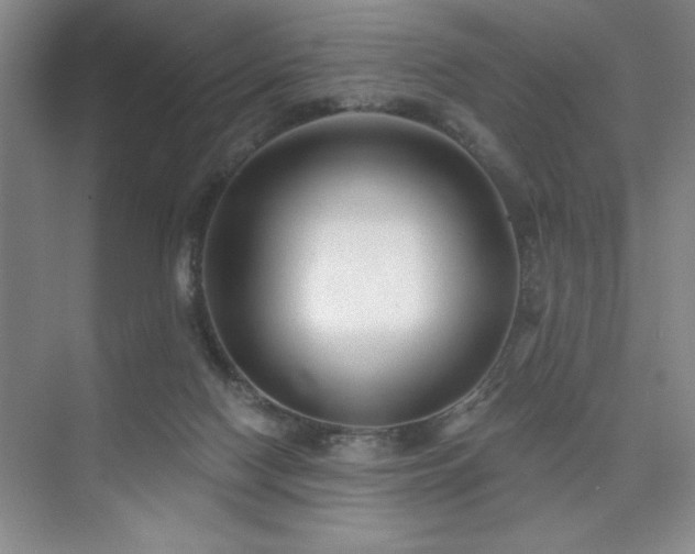 X0000073830074200608101214