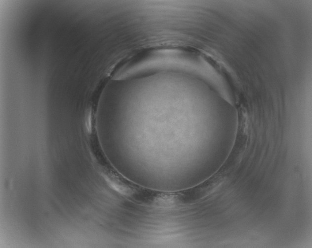 X0000073830076200608101214