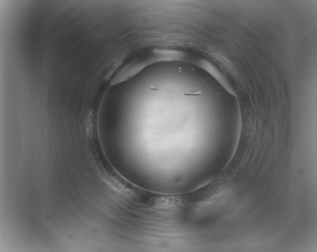 X0000073830077200608101214