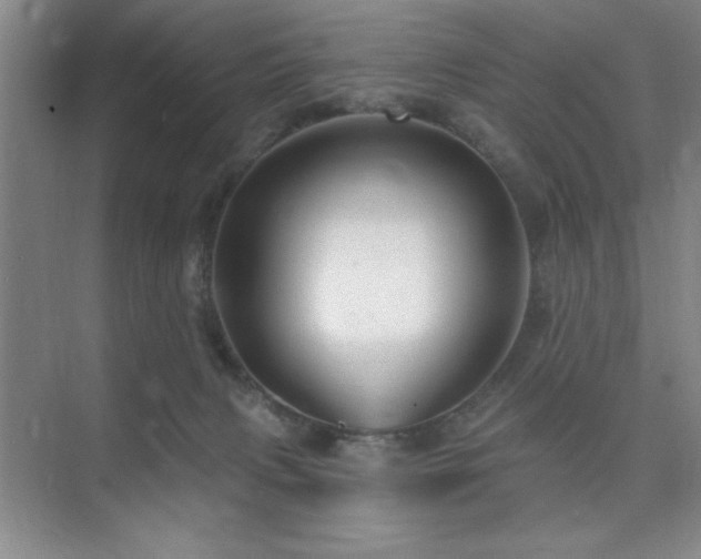 X0000073830079200608101214