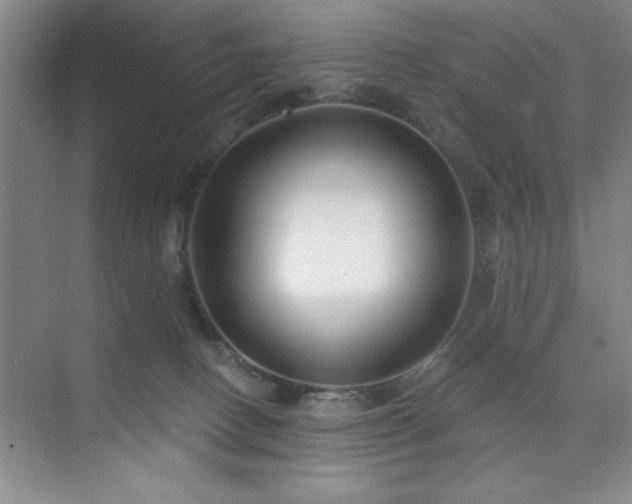 X0000073830082200608101214