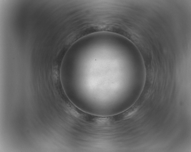 X0000073830085200608101214