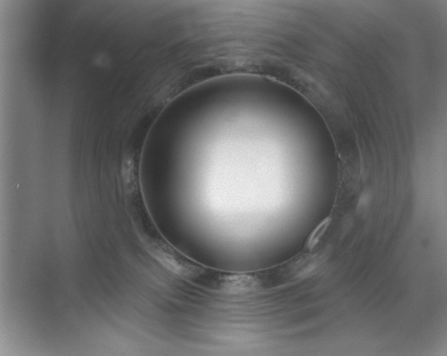 X0000073830087200608101214