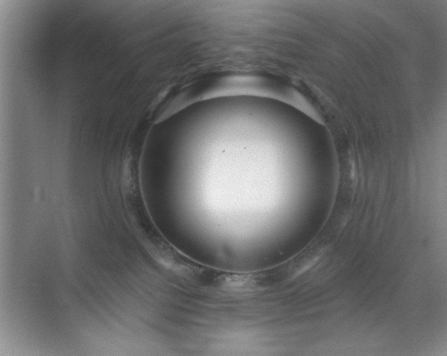 X0000073830088200608101214