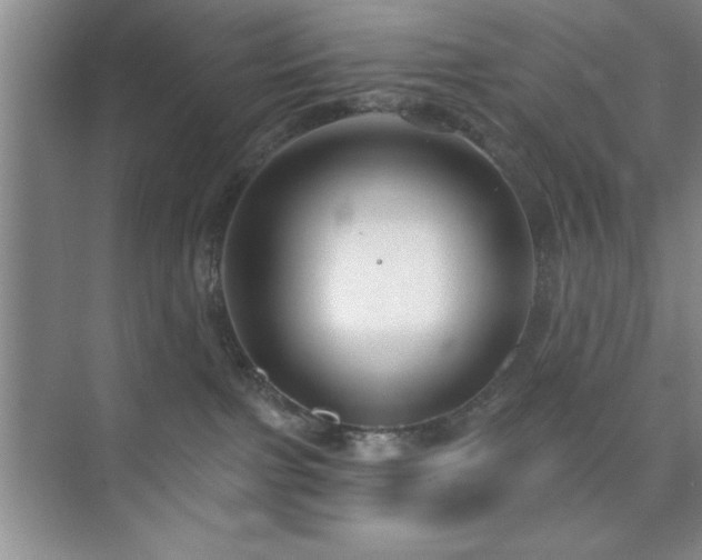 X0000073830091200608101215