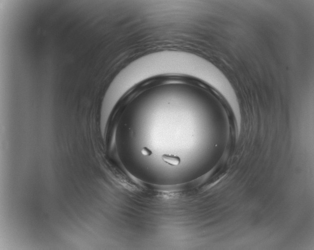 X0000073830092200608101215