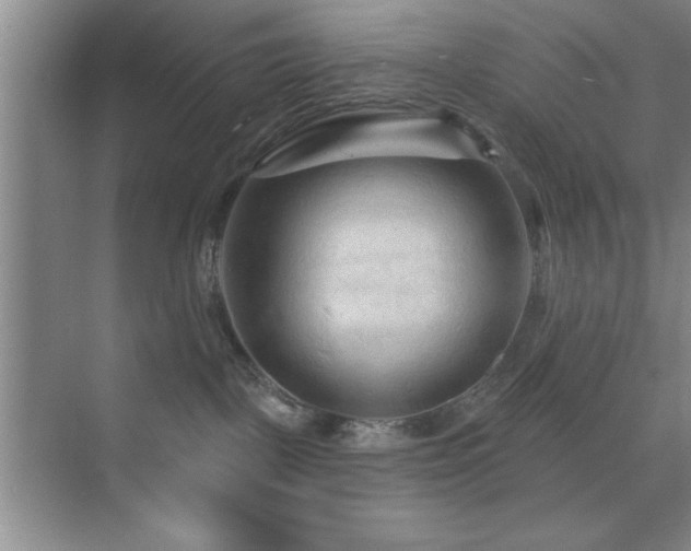 X0000073830093200608101215