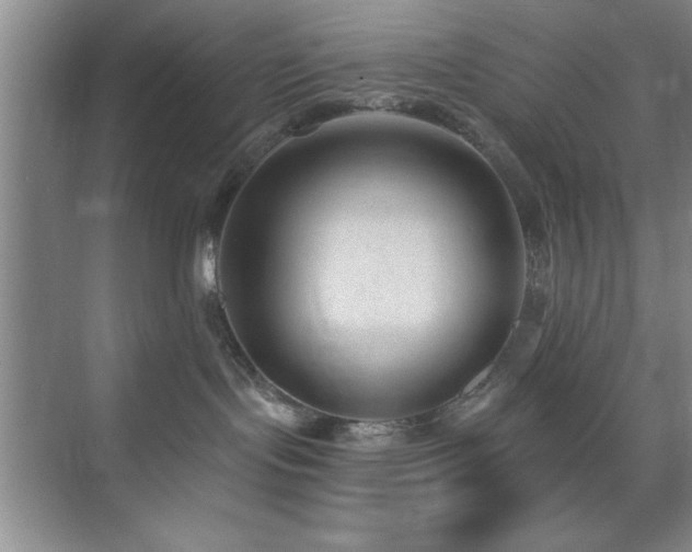 X0000073830095200608101215