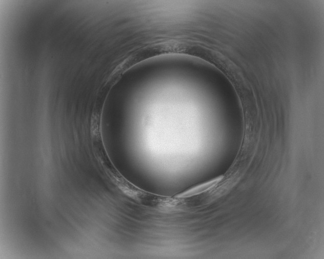 X0000073830096200608101215