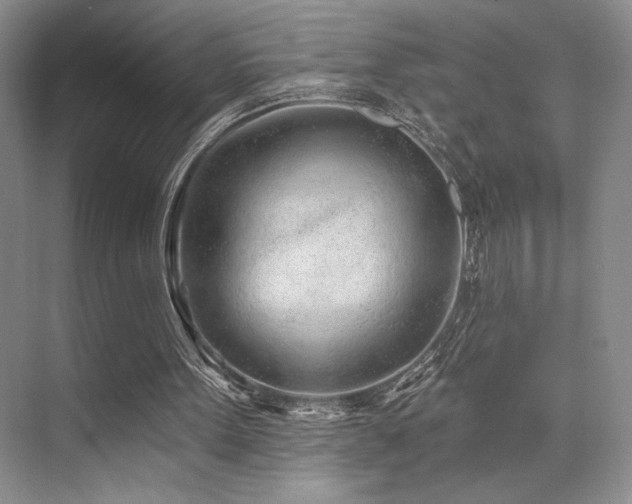 X0000073830099200608101214