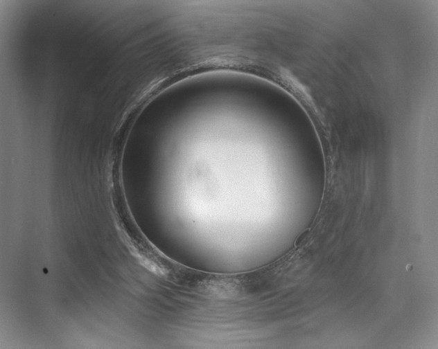 X0000073830106200608101214