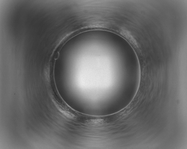 X0000073830108200608101214