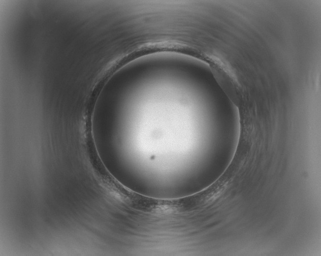 X0000073830111200608101214