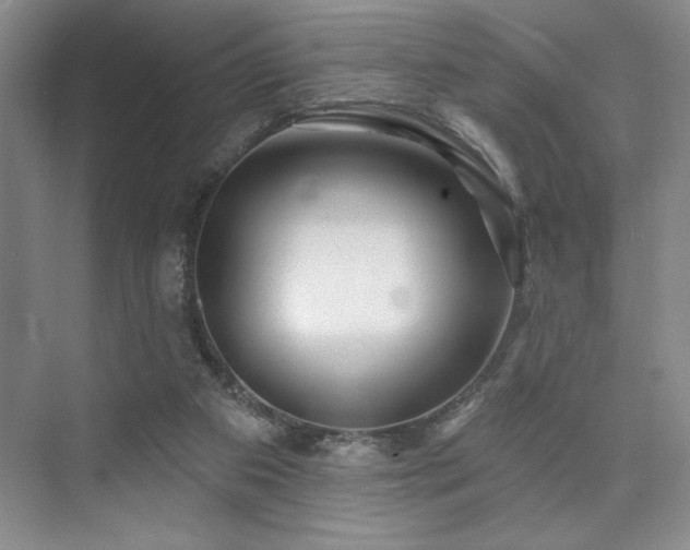 X0000073830113200608101214