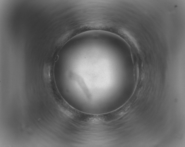 X0000073830115200608101213