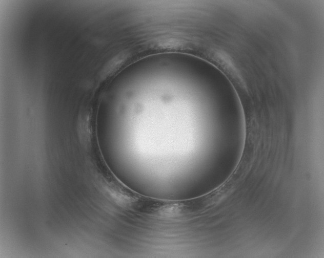 X0000073830116200608101213