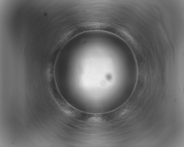 X0000073830119200608101213