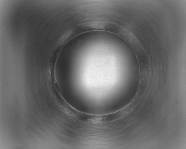 X0000073830120200608101213