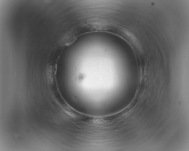 X0000073830121200608101213