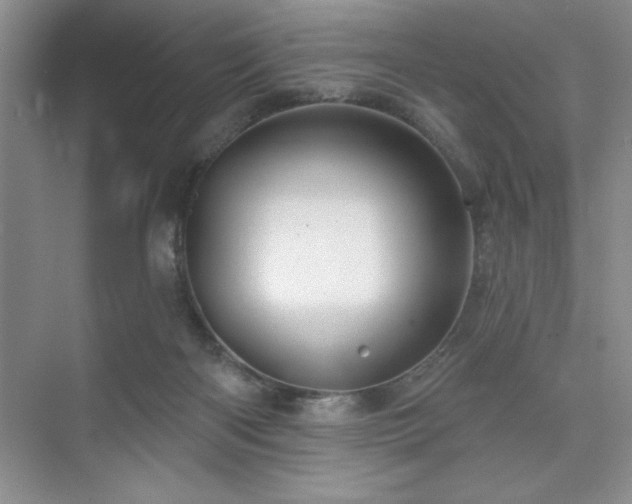 X0000073830122200608101213