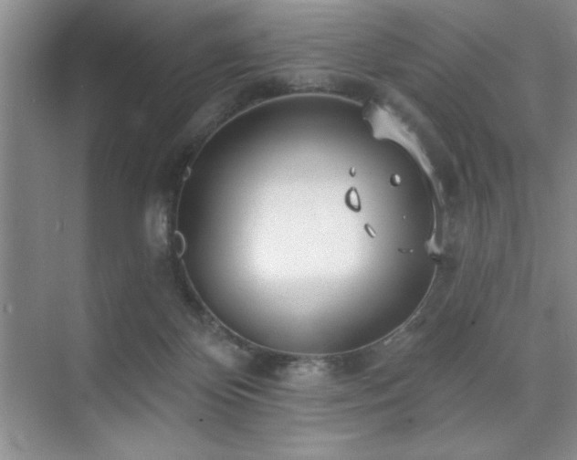 X0000073830124200608101213