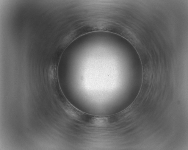 X0000073830126200608101213