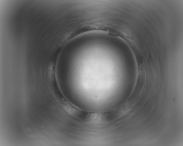 X0000073830127200608101213