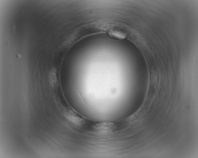 X0000073830128200608101213