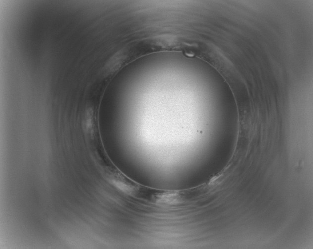 X0000073830132200608101213