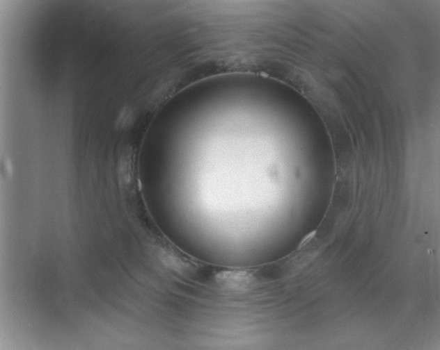 X0000073830133200608101213