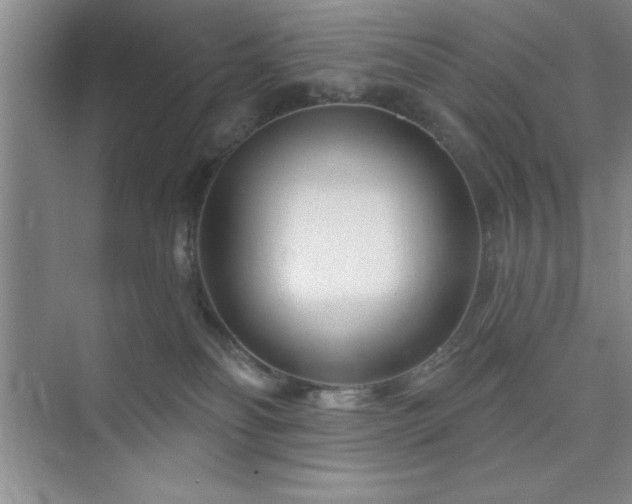 X0000073830134200608101213