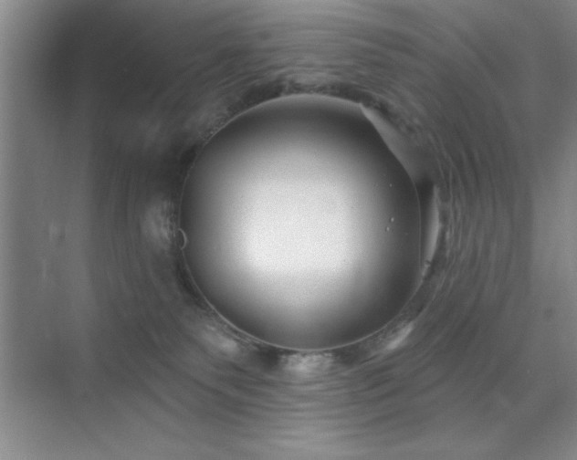 X0000073830135200608101213