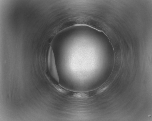 X0000073830137200608101213