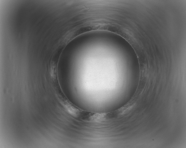 X0000073830138200608101213