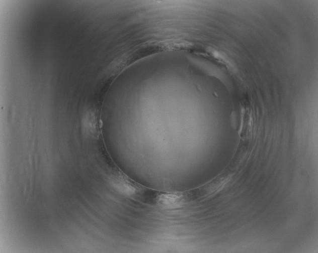 X0000073830139200608101213