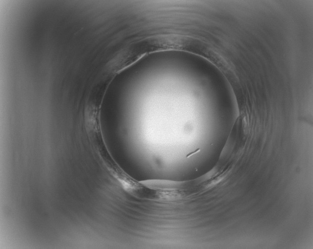 X0000073830141200608101213