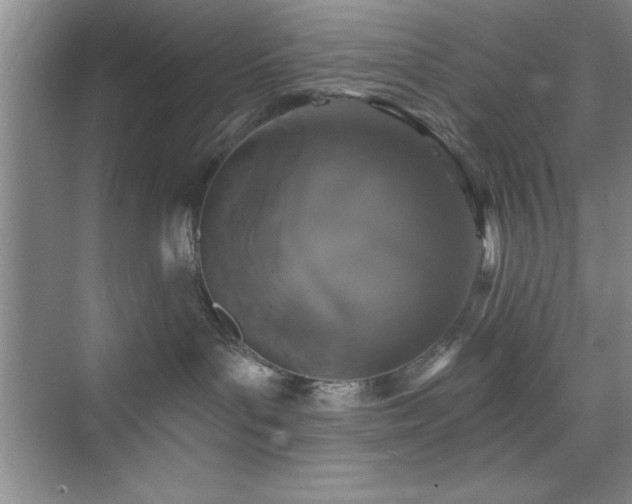 X0000073830143200608101213