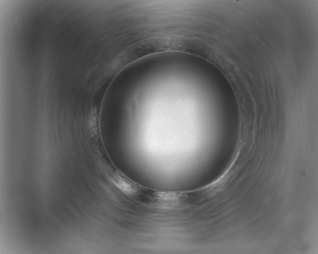 X0000073830144200608101213