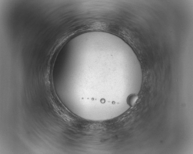 X0000073830146200608101212