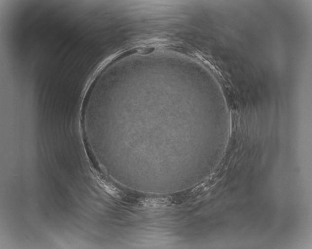 X0000073830147200608101212