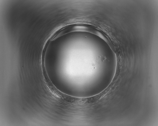 X0000073830148200608101212