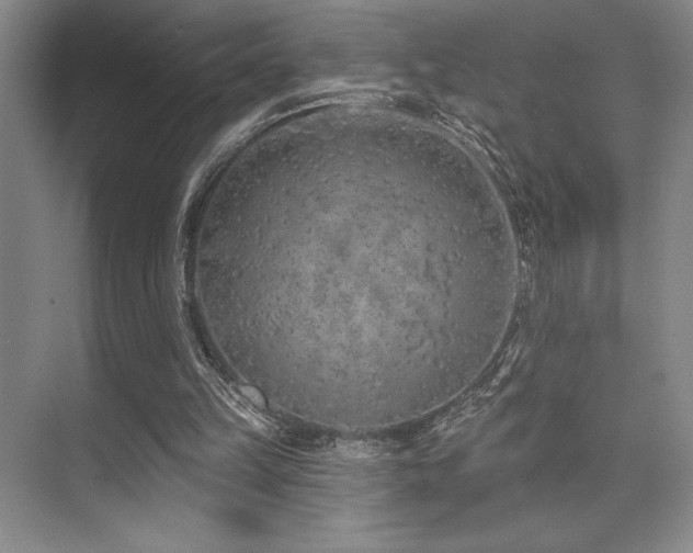 X0000073830149200608101212